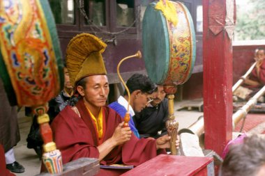 Lama Ladakh Festivali 'nde Davul Çalıyor, Leh, Jammu & Kashmir, Hindistan 