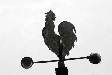 Rooster ile Vane Hava Durumu; Kolkata; Batı Bengal; Hindistan