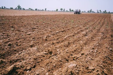 Traktör tarlası; Jajiwal; Jodhpur; Rajasthan; Hindistan
