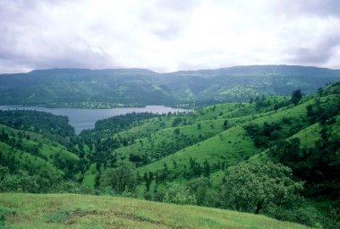 Batı Ghat, Tapola, Maharashtra, Hindistan