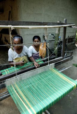 El işi, el dokuma tezgahında çalışan kadın, STK Aksiyon Kuzeydoğu Tröstü (ANT), Bongaigaon, Assam, Hindistan 