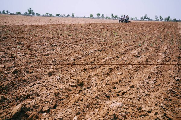 Field ploughed by tractor ; Jajiwal ; Jodhpur ; Rajasthan ; India