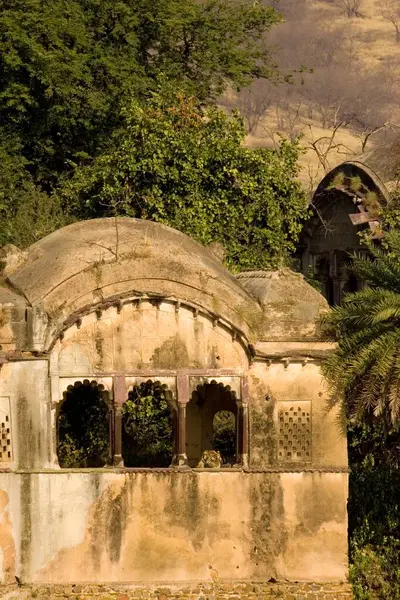 stock image Tiger in ruined palace of Ranthambhore Tiger reserve national park, Rajasthan, India.