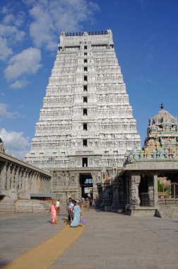 Tamilnadu Hindistan Asya 'daki Tiruvannamalai' deki Arunachaleshwar Tapınağı 'nın Gopura' sı 