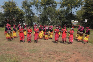 Mudia kabile dansçısı, jagdalpur, chhattisgarh, Hindistan, Asya 