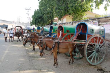 At arabaları, Palani kasabasında Jatkas, Tamil Nadu, Hindistan 