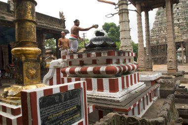 Priests performing pooja near flag mast ;  Varadaraja Perumal Vishnu temple in Kanchipuram ; Tamil Nadu ; India clipart