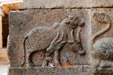 Lepakshi 'deki Veerabhadra tapınağında boğa; Andhra Pradesh; Hindistan