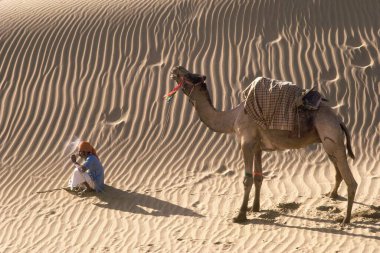Birbirimiz için yaratılmışız. Çölde ve devede oturmuş sigara içen Rajasthani, Hindistan. 