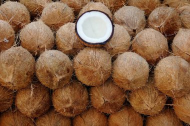 Tüm çerçeveyi kaplayan meyveler kuru hindistan cevizleri