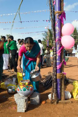Pongal, Kinathukkadavu Coimbatore yakınlarında, Tamil Nadu, Hindistan 