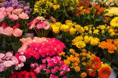 Çeşitli taze çiçekçi dükkanları, Tokyo, Japonya.