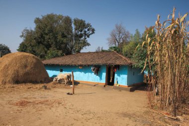 Basar 'daki evler, chhattisgarh, Hindistan, Asya