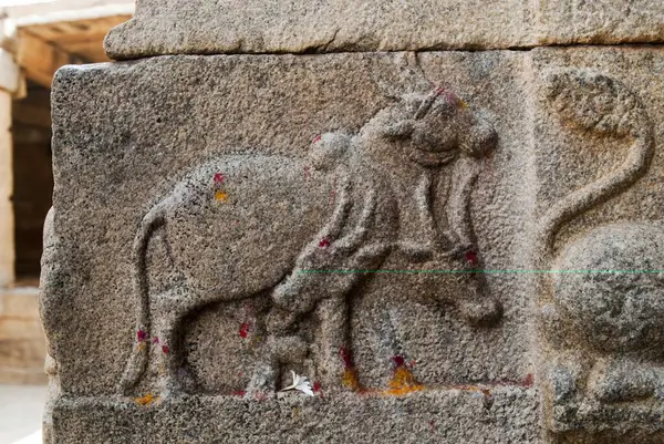 Lepakshi 'deki Veerabhadra tapınağında boğa; Andhra Pradesh; Hindistan