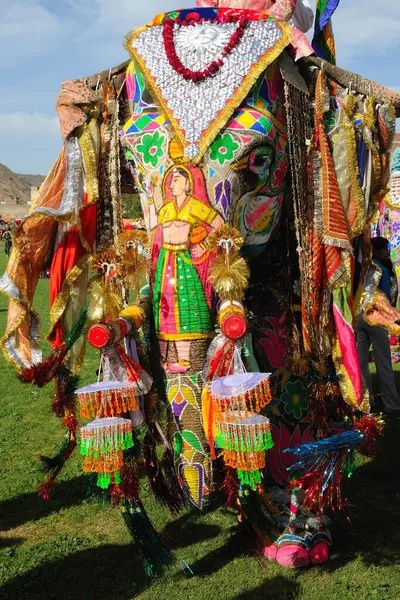 Boyalı filler, Jaipur, Rajasthan, Hindistan