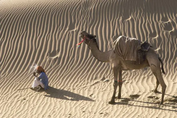 Birbirimiz için yaratılmışız. Çölde ve devede oturmuş sigara içen Rajasthani, Hindistan. 