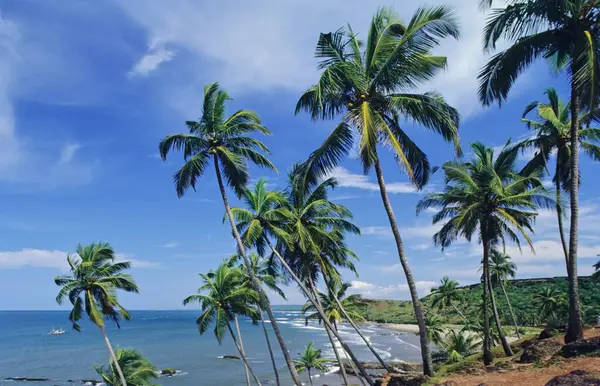 stock image Vagator Beach, Goa, India 