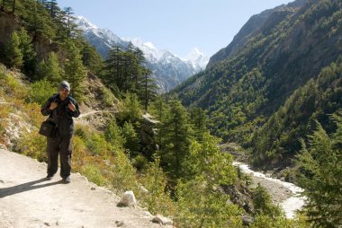 Ganga nehri gomukh ve Himalaya manzarası, Uttaranchal, Hindistan 'dan geliyor. 