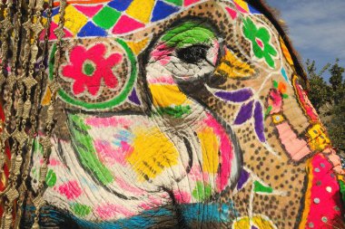 Boyalı fil, Jaipur, Rajasthan, Hindistan