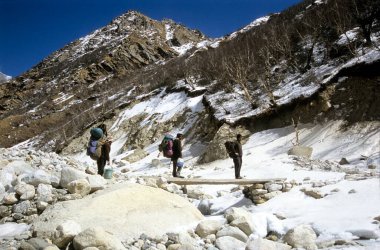 Gangotri 'den Gomukh, Uttranchal, Hindistan' a giden yolda üç yürüyüşçü var. 