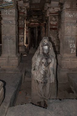 Heykel hemadpanthi tapınağı, solapur, Maharashtra, Hindistan, Asya  