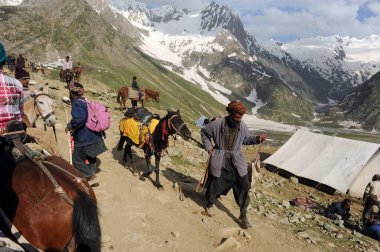 Pilgrim, amarnath yatra, jammu Kashmir, Hindistan, Asya 