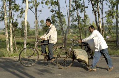 Pune; Maharashtra; Hindistan yakınlarındaki Ralegan Siddhi 'de bisiklet üzerinde tahıl stoğu taşıyordu.