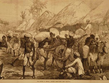 Bengal 'de Litograflar Kıtlığı Kalküta yakınlarında Tahıl Yükleme Arabası, Batı Bengal, Hindistan 