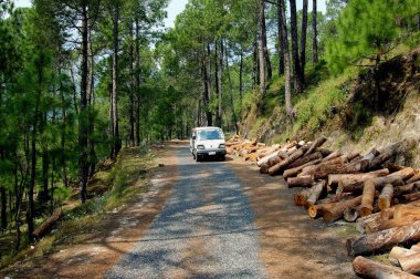 Beyaz Maruti arabası Binsar, Uttaranchal, Hindistan yakınlarındaki ahşap kütüklerin yanından geçiyor. 