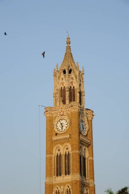 Rajabai saat kulesi, mumbai, maharashtra, Hindistan, Asya