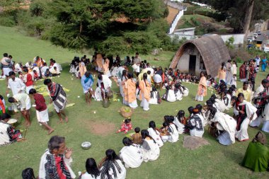 Toda evliliği sırasında kızlar birliği, Nilgiris, Tamil Nadu, Hindistan 