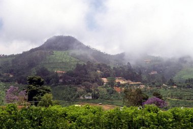 Connor, Nilgiris, Tamil Nadu, Hindistan