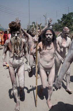 Naked Sadhus on way Haridwar Uttarakhand India Asia  clipart