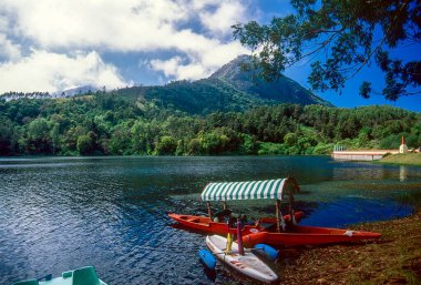 Kundala Gölü 'ndeki Shikara teknesi, Munnar, Kerala, Hindistan, Asya 