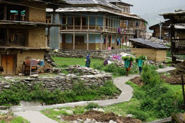 Ahşap evler, Sarchi Köyü, Tirthan Vadisi, Himachal Pradesh, Hindistan, Asya