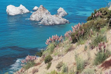 Big Sur, Kaliforniya, Amerika Birleşik Devletleri  