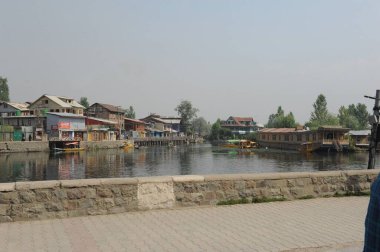 Dal Gölü, Srinagar, Jammu Kaşmir, Hindistan, Asya
