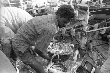 Sassoon rıhtımında balıkçılar, Colaba, Bombay Mumbai, Maharashtra, Hindistan 