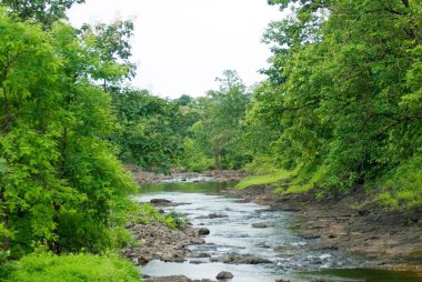 Muson 'da nehir manzarası; Shahapur bölgesi; Thane; Maharashtra; Hindistan