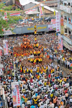 İnsan piramidi, Dahikala, Janmashtami janmashtmi gokul ashtami govinda festivali, Dadar, Bombay, Mumbai, Maharashtra, Hindistan 