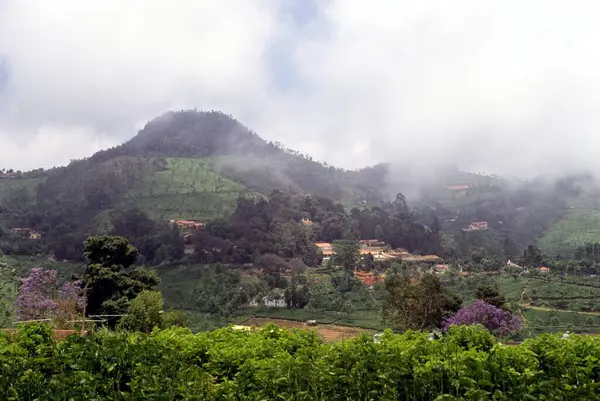 stock image Connor , Nilgiris , Tamil Nadu , India