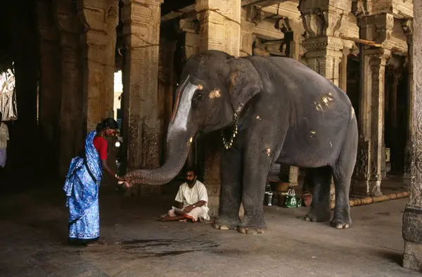 Rangam Tapınağı, Trichur, Kerala, Hindistan 