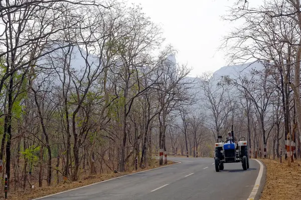 Maharashtra Hindistan Asya 'daki Malshej Ghat ormanında yol.