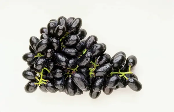 stock image Fruits - Grapes isolated on white background 