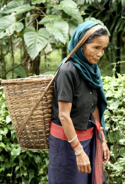 Geleneksel sepetli Chakama kabile kadınları Diyun, Arunachal Pradesh, Hindistan 