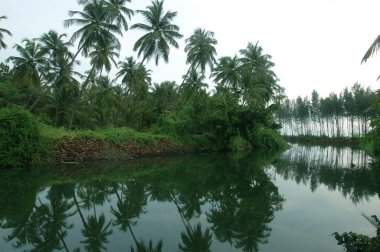 Malvan 'da durgun sular; Sindhudurga; Maharashtra; Hindistan