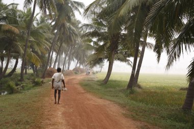 Sabahın erken saatlerinde, kırmızı çamur yolda yürüyen adam, Tamil Nadu, Hindistan 