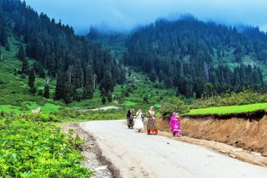 Kaşmirli kadınlar yolda yürüyor, Doodhpathri, Budgam, Kaşmir, Hindistan, Asya 