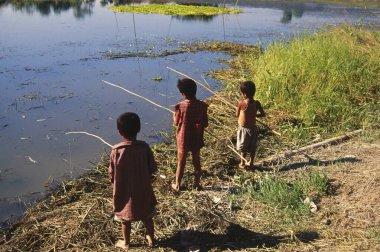 Çocuklar balık tutuyor, Majuli, Assam, Hindistan 