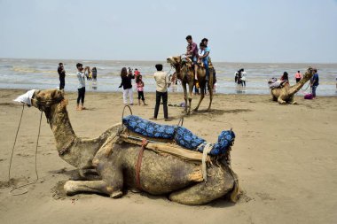 tourists, Dumas beach, Surat, Gujarat, India, Asia  clipart